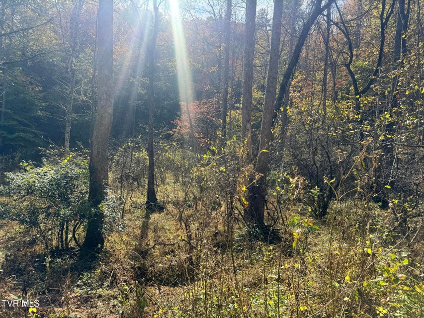 Photo #53: 150 Little Branch Road