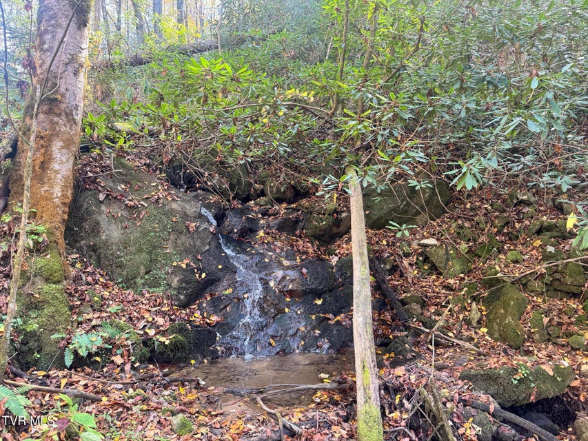 Photo #8: 150 Little Branch Road