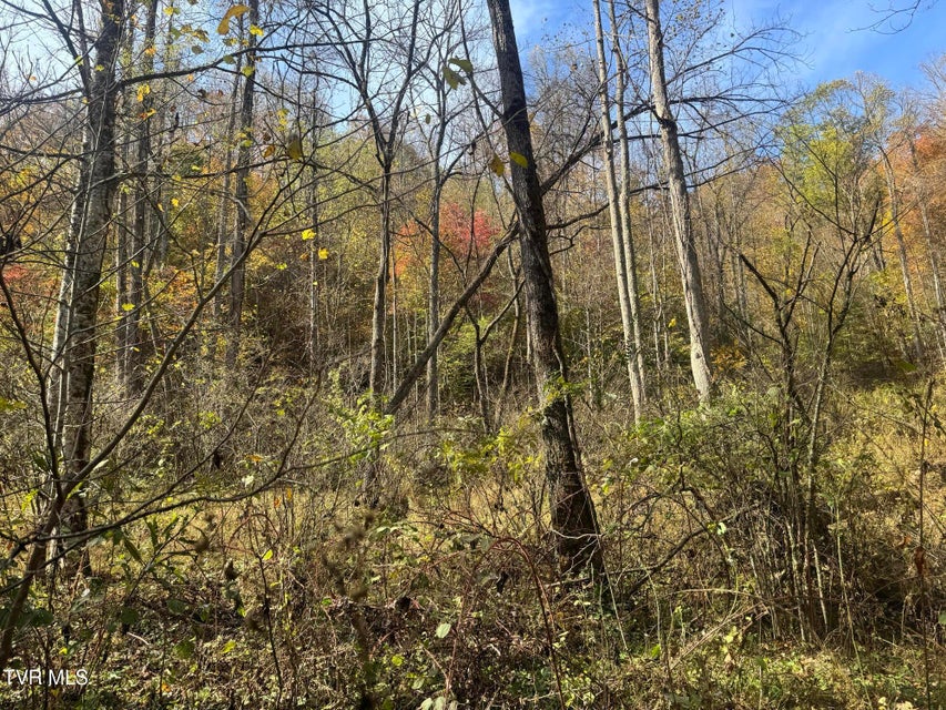 Photo #56: 150 Little Branch Road