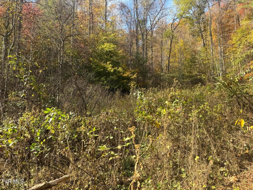 Photo #22: 150 Little Branch Road