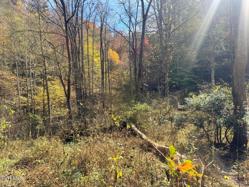 Photo #23: 150 Little Branch Road