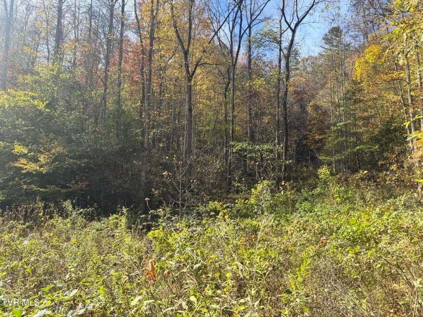 Photo #6: 150 Little Branch Road