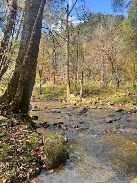 Photo #2: 150 Little Branch Road