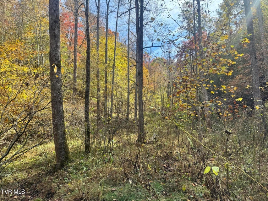 Photo #7: 150 Little Branch Road