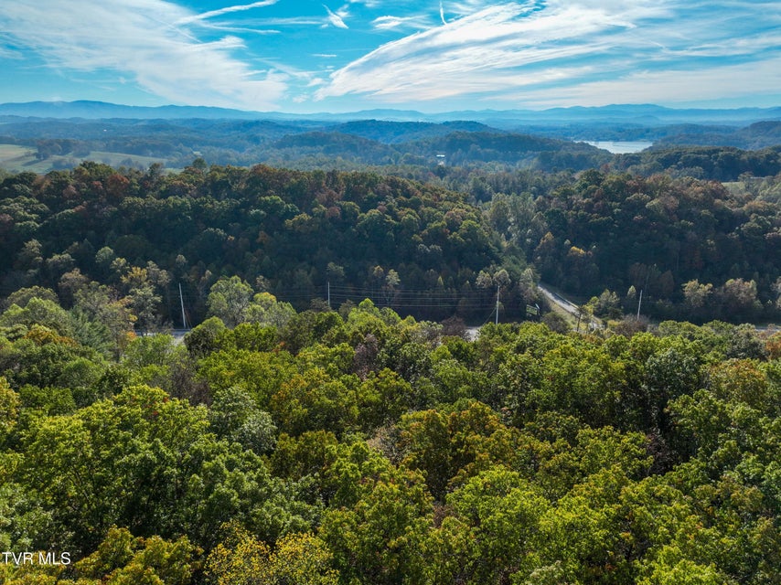 Photo #3: 3400 Highway 75 