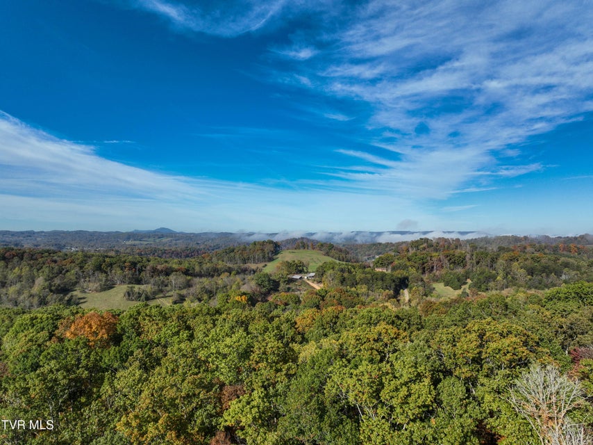 Photo #15: 3400 Highway 75 