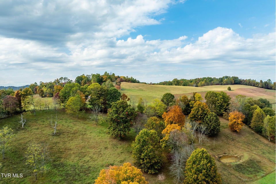 Photo #47: 348 Clinch Valley Road
