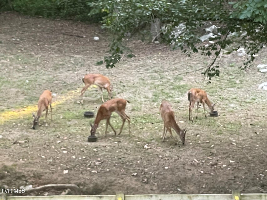 Photo #22: 919 Highway 340