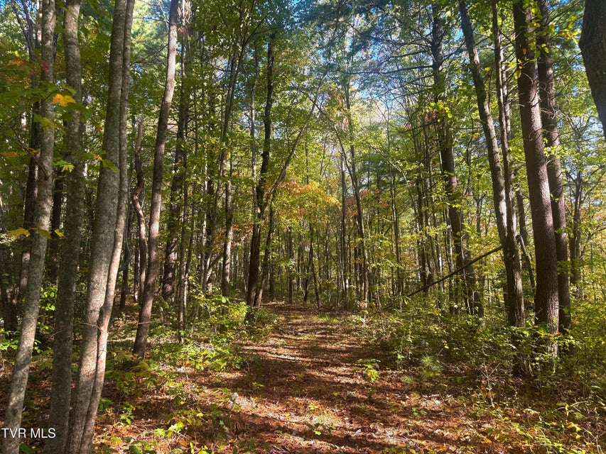 Photo #5: Tbd Grave Hill Rd E 