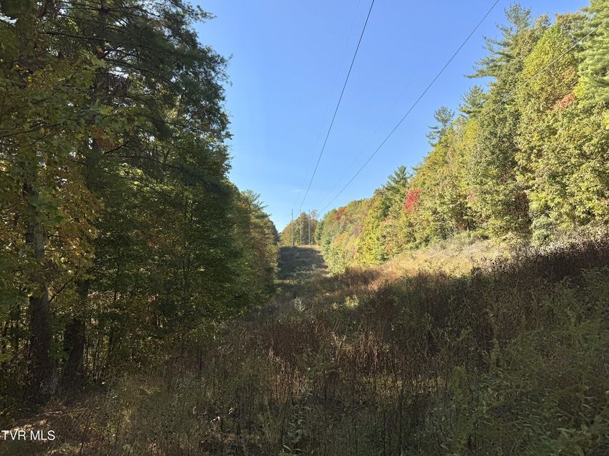 Photo #6: Tbd Grave Hill Rd E 