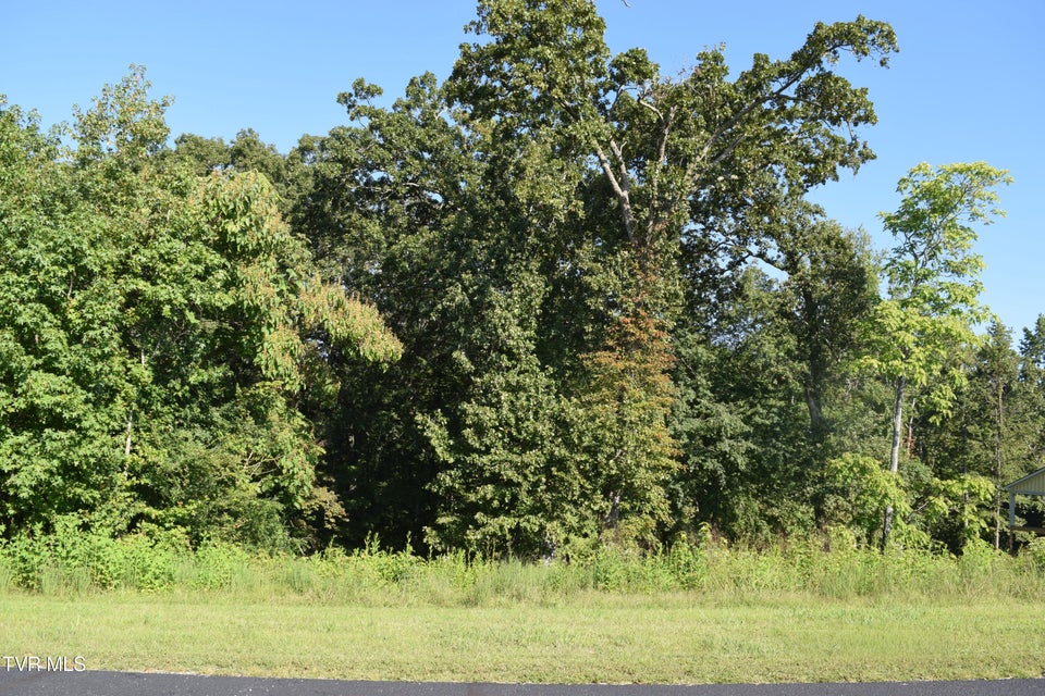 Photo #2: 347 Water View Drive