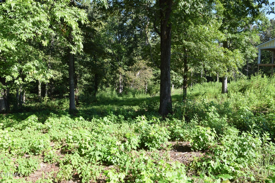 Photo #3: 347 Water View Drive