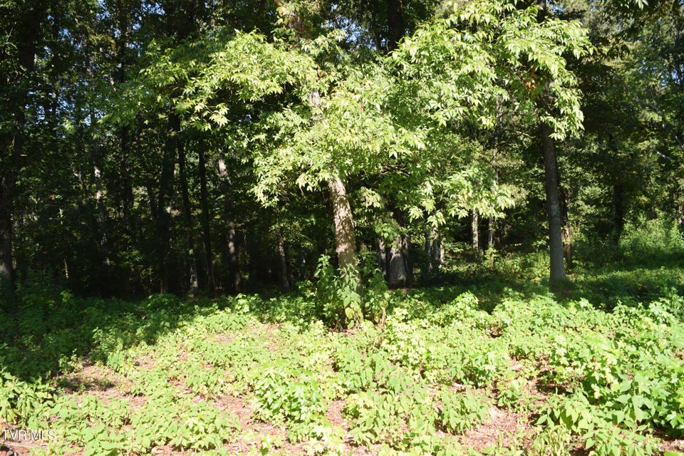 Photo #4: 347 Water View Drive