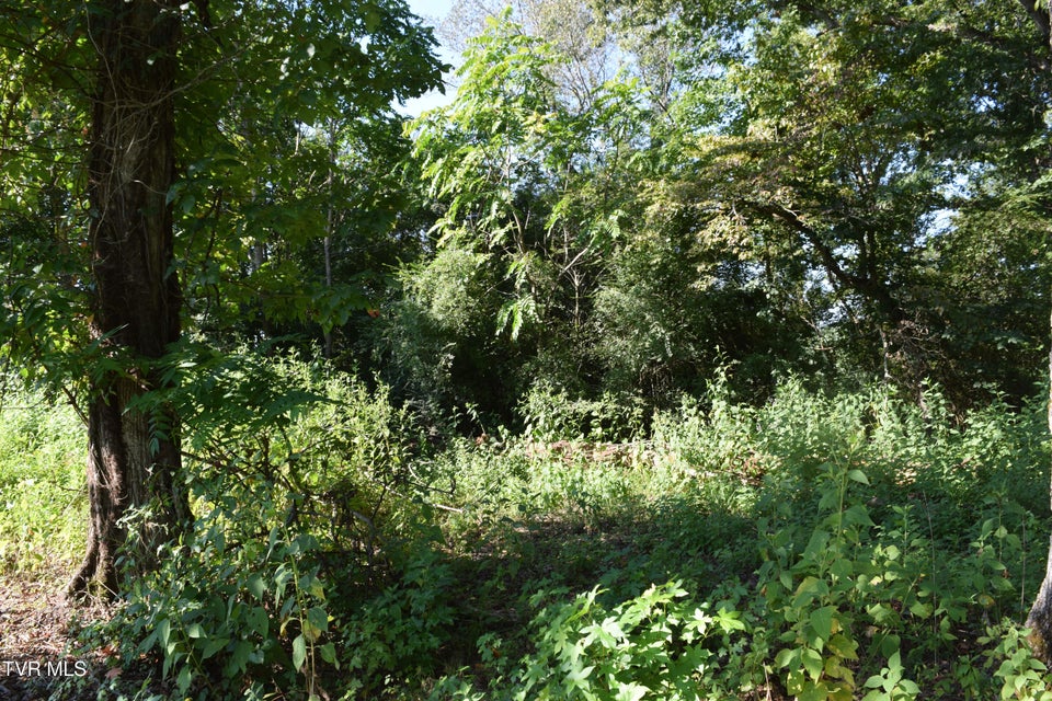 Photo #5: 347 Water View Drive