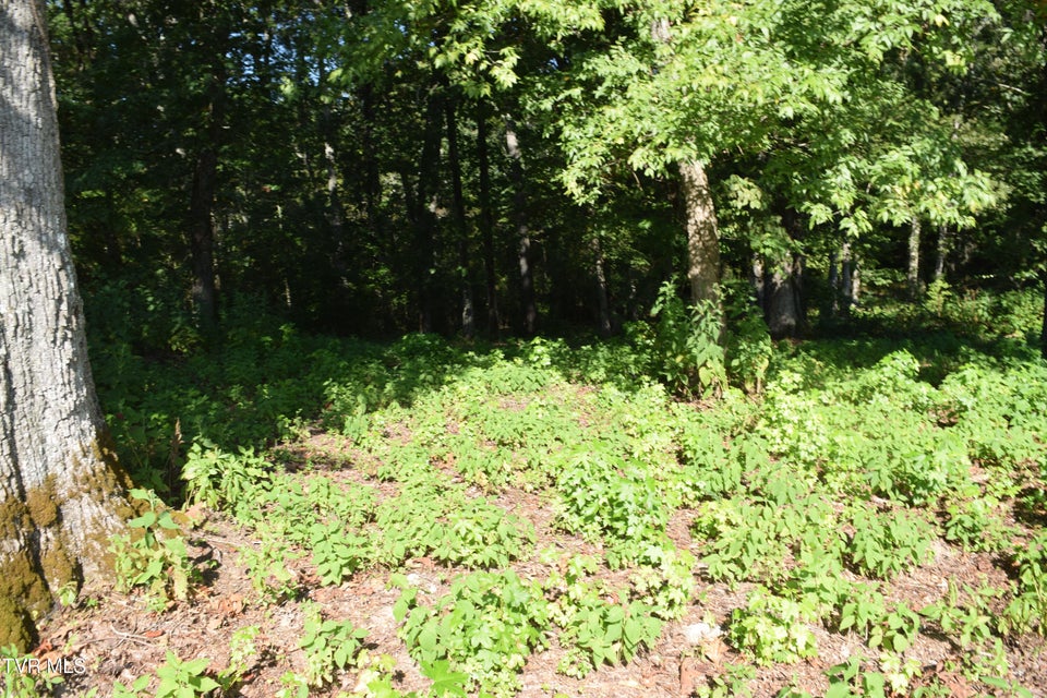 Photo #6: 347 Water View Drive