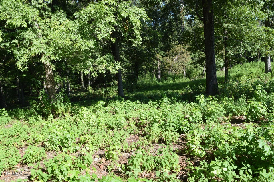 Photo #7: 347 Water View Drive