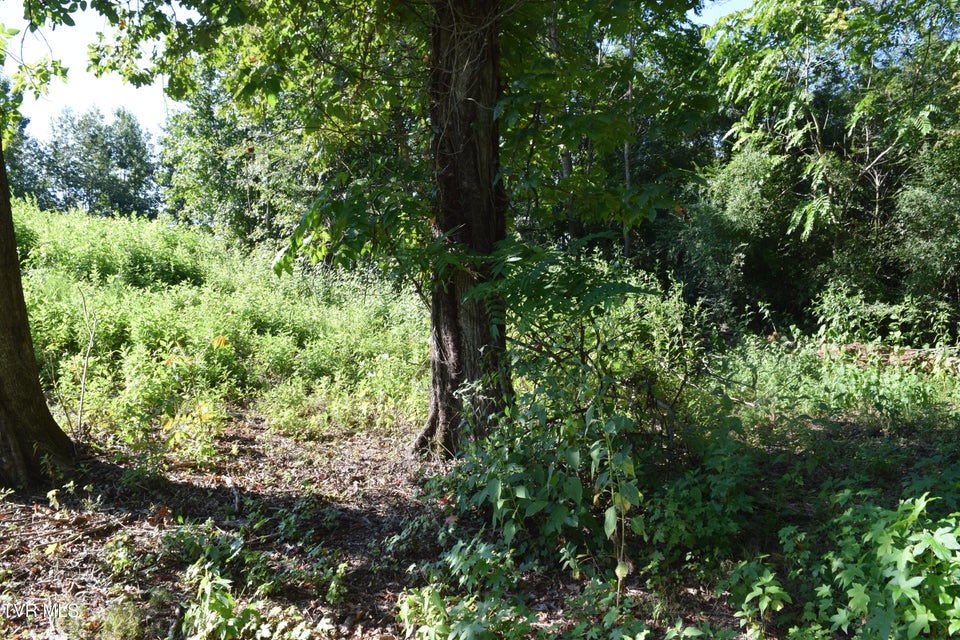 Photo #8: 347 Water View Drive