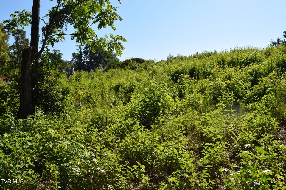 Photo #9: 347 Water View Drive