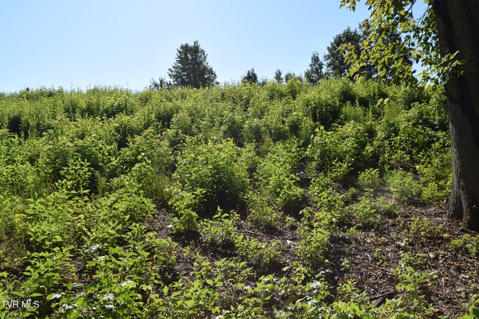 Photo #10: 347 Water View Drive