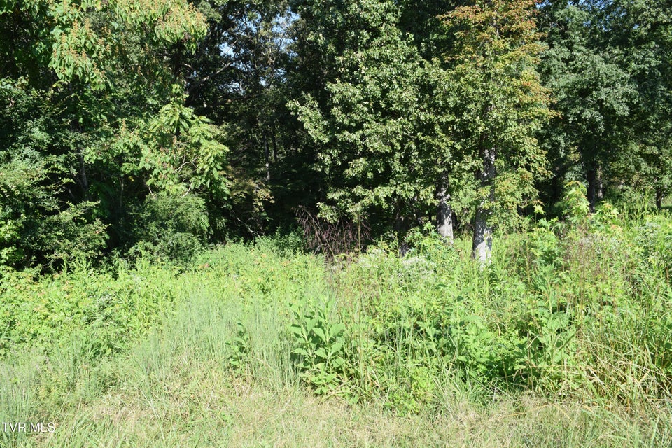 Photo #11: 347 Water View Drive