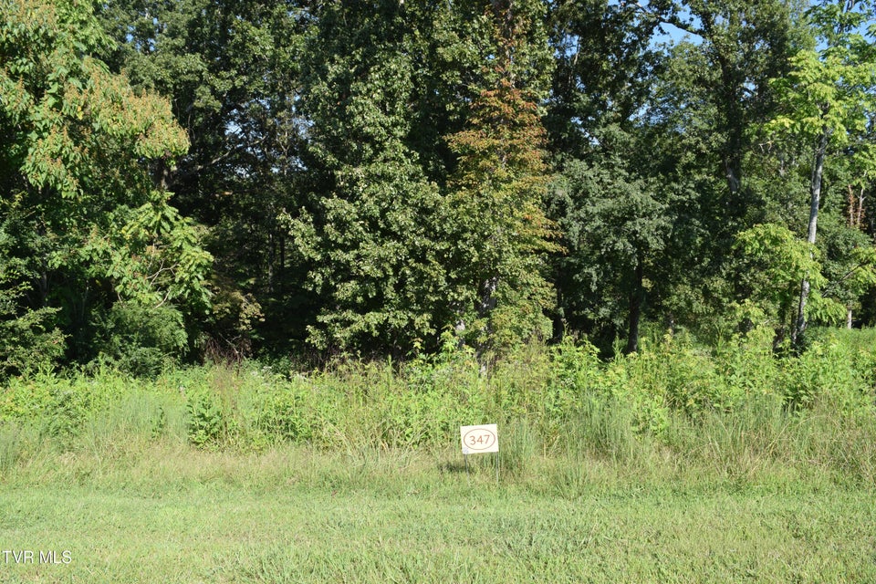 Photo #12: 347 Water View Drive