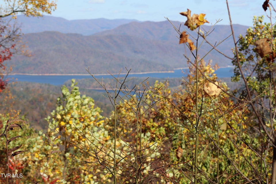 Photo #2: 48 Locust Lane