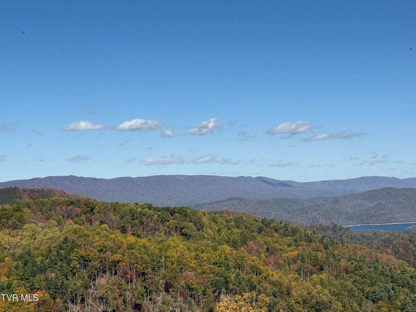 Photo #4: 48 Locust Lane