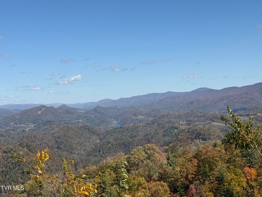 Photo #5: 48 Locust Lane