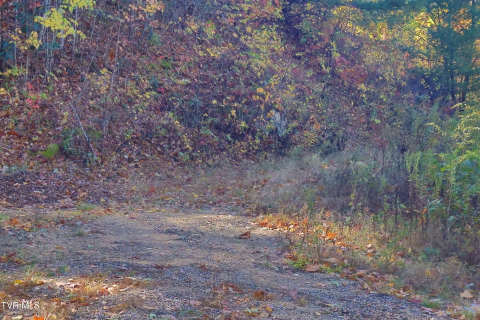 Photo #7: 48 Locust Lane