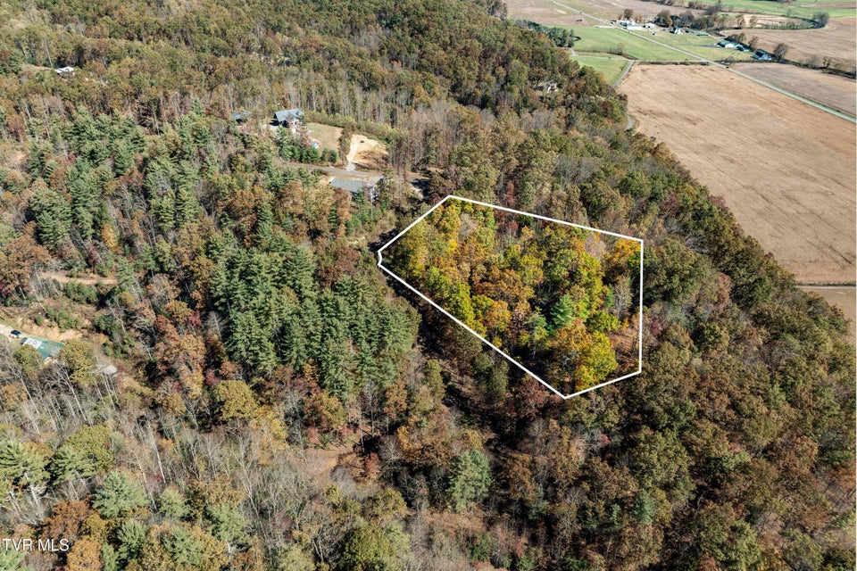 Photo #2: Tbd 000 Blackberry Hill Lane