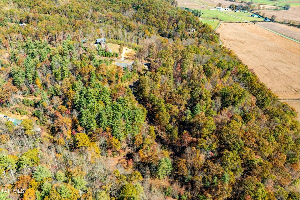 Photo #3: Tbd 000 Blackberry Hill Lane