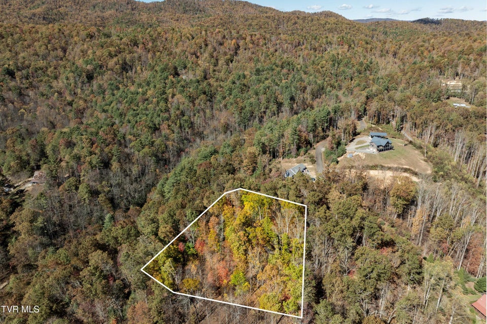 Photo #4: Tbd 000 Blackberry Hill Lane