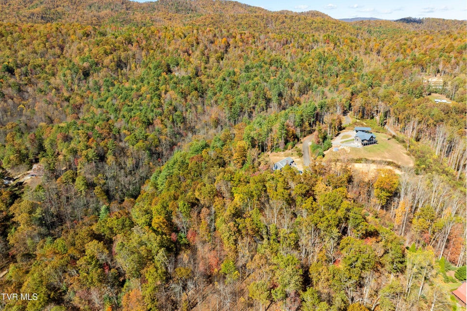 Photo #5: Tbd 000 Blackberry Hill Lane