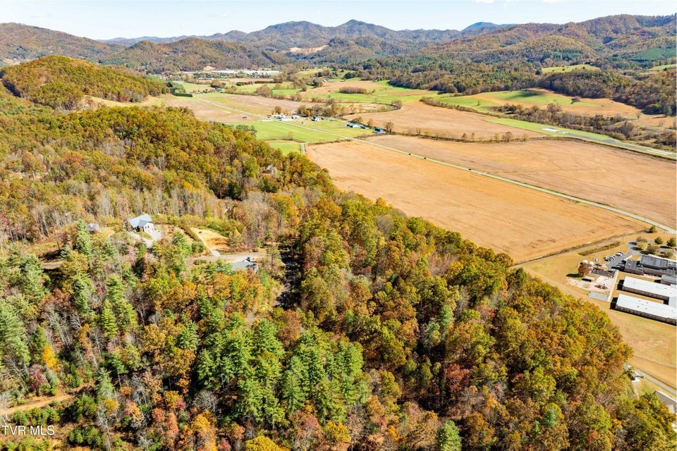 Photo #8: Tbd 000 Blackberry Hill Lane