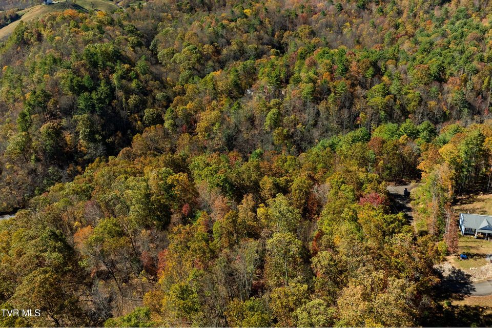 Photo #10: Tbd 000 Blackberry Hill Lane