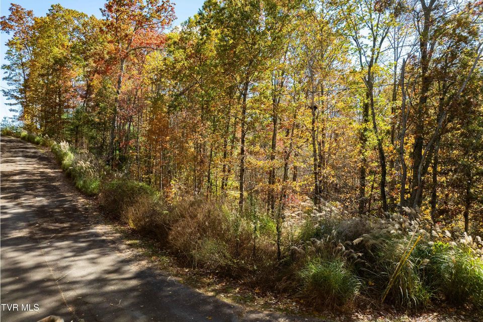 Photo #15: Tbd 000 Blackberry Hill Lane