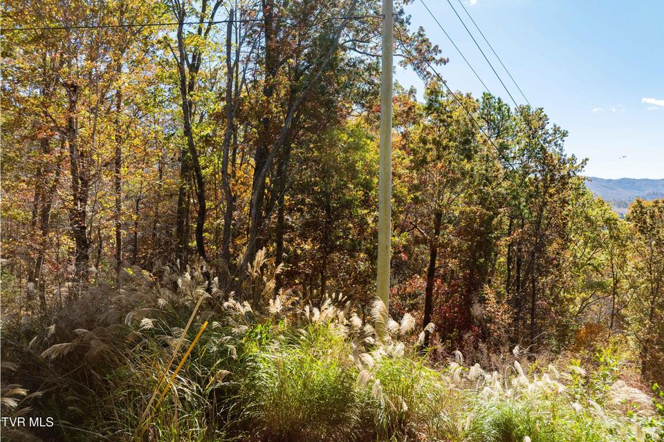 Photo #16: Tbd 000 Blackberry Hill Lane