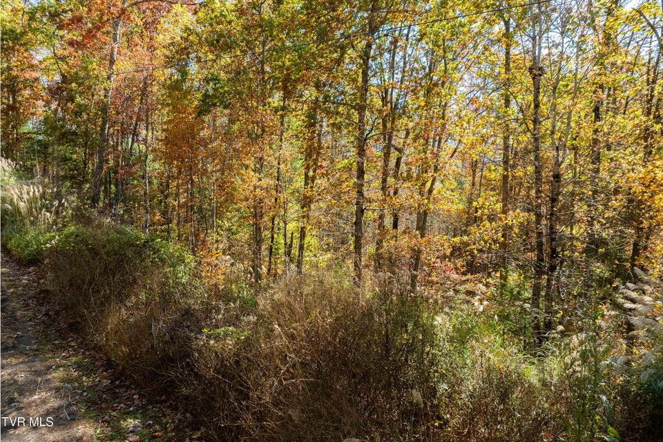 Photo #17: Tbd 000 Blackberry Hill Lane