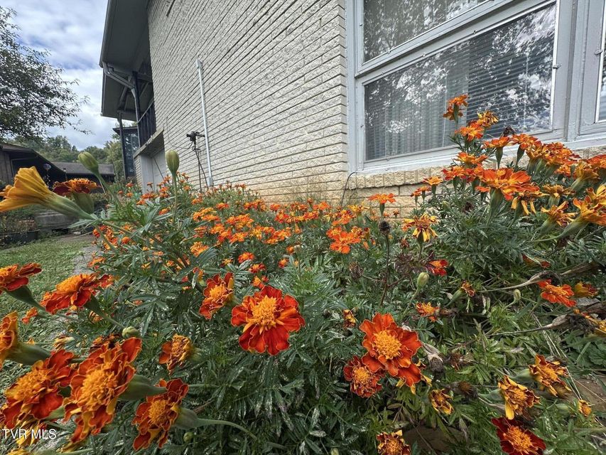 Photo #73: 412 Lakeside Drive