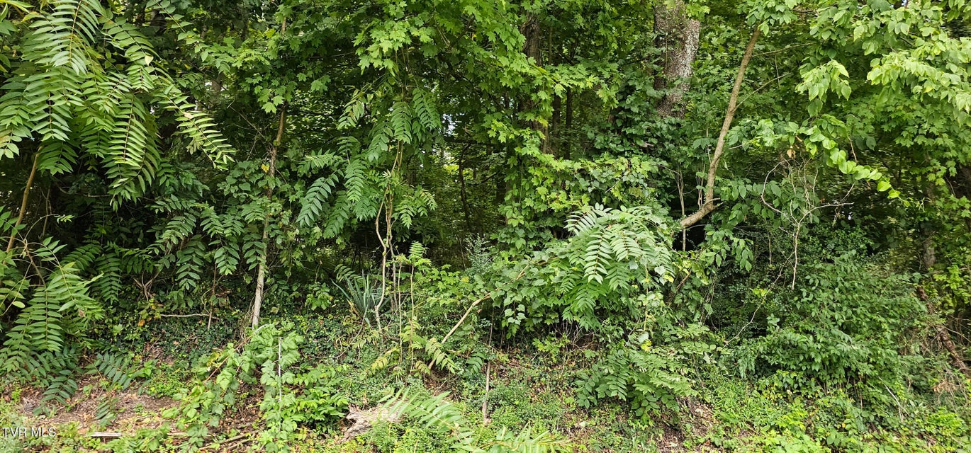 Photo #2: Tbd Green Spring Road