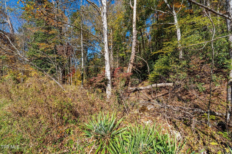 Photo #15: Tbd Lumpkin Branch Road