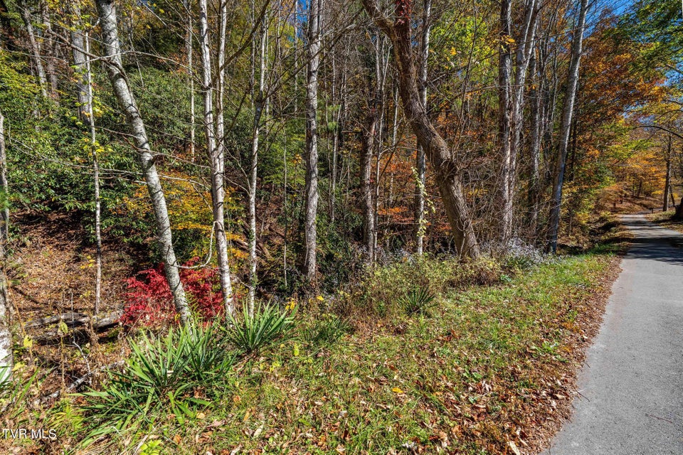 Photo #16: Tbd Lumpkin Branch Road