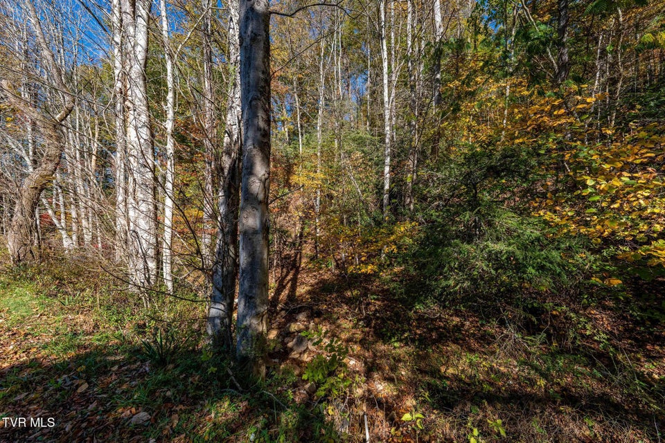 Photo #17: Tbd Lumpkin Branch Road