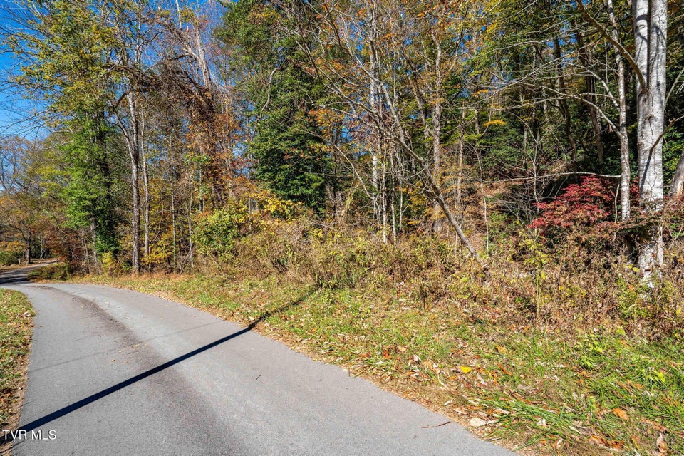 Photo #18: Tbd Lumpkin Branch Road