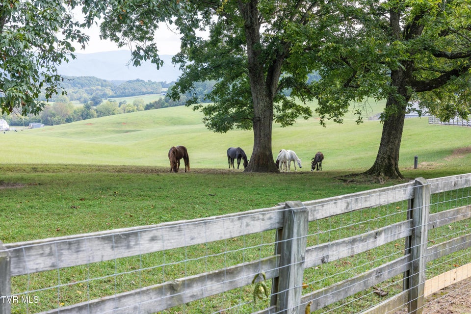 Photo #31: 2153 Old State Route 34 