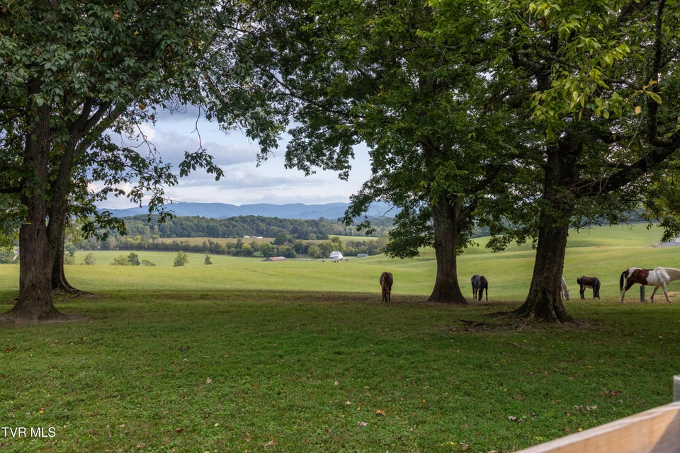 Photo #33: 2153 Old State Route 34 