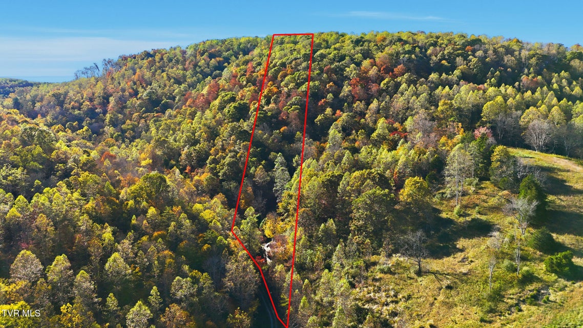 Photo #47: 200 Gunport Drive