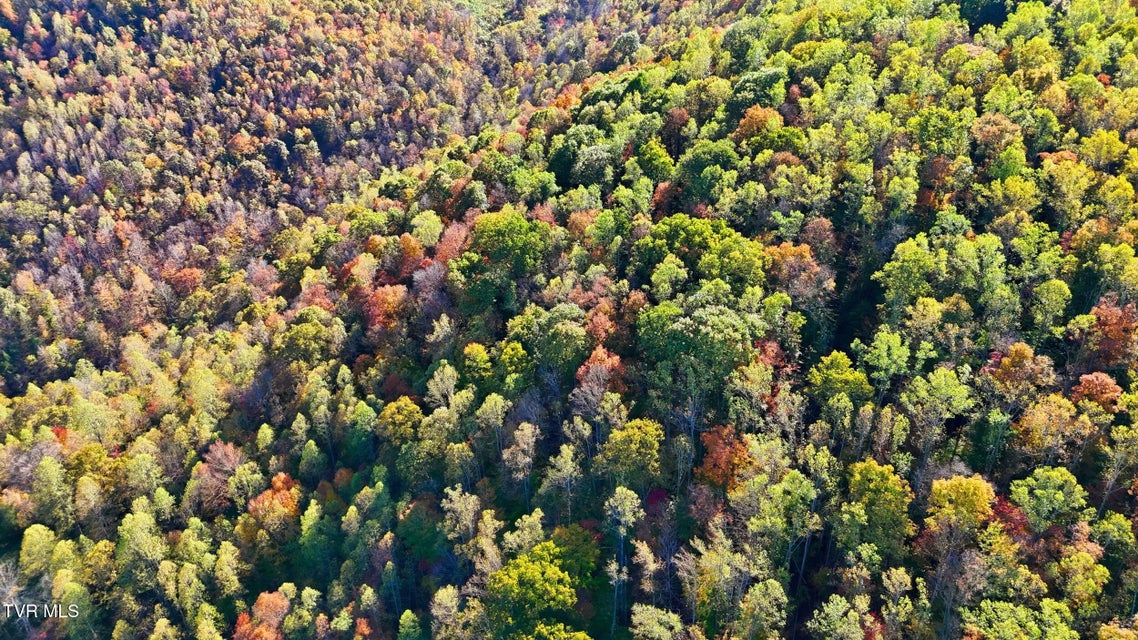 Photo #48: 200 Gunport Drive