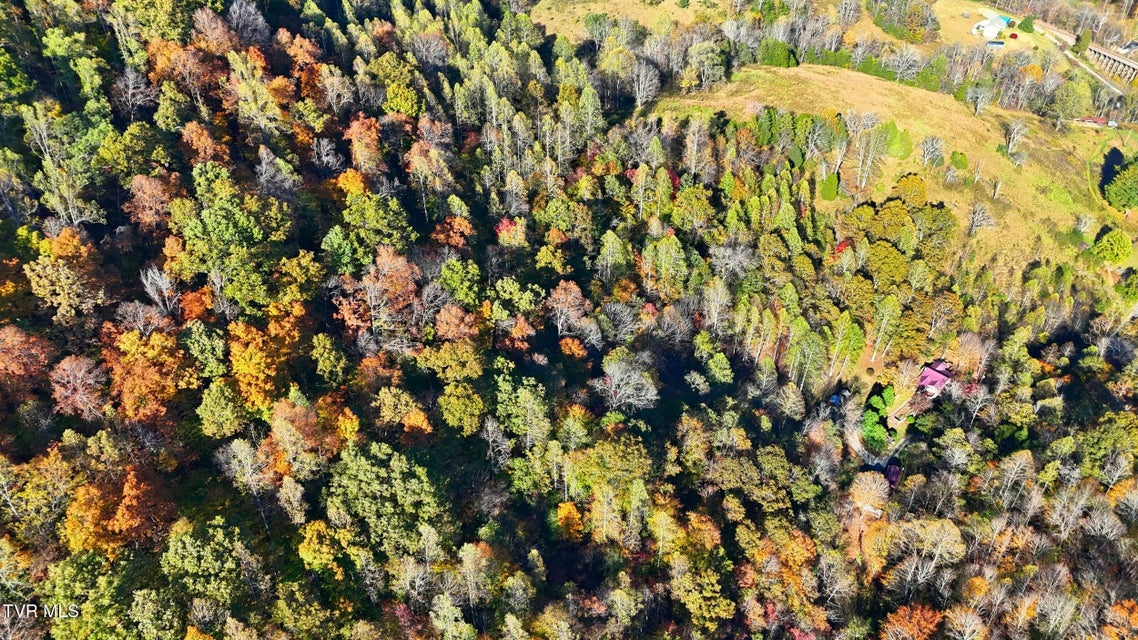 Photo #50: 200 Gunport Drive