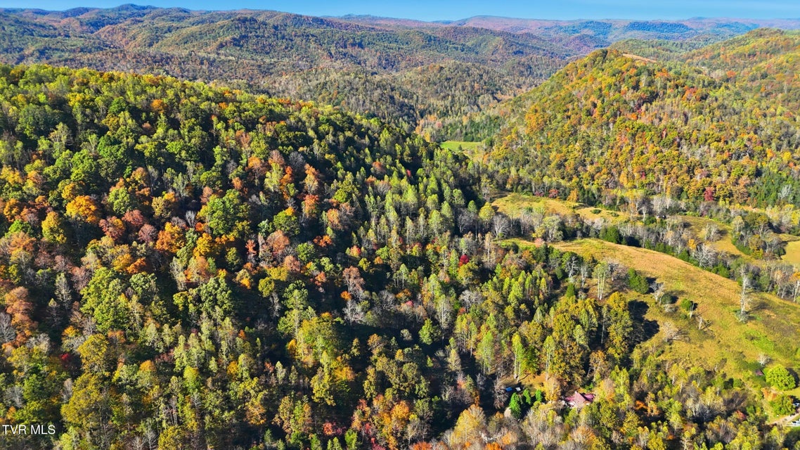 Photo #51: 200 Gunport Drive